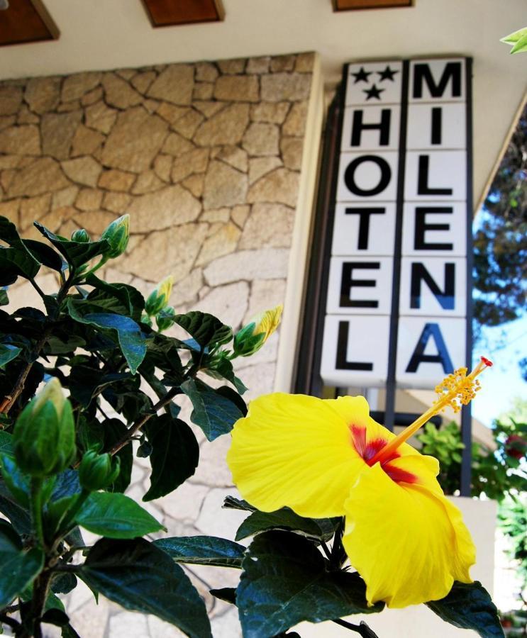 Hotel Milena Rimini Exterior photo